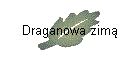 Draganowa zim