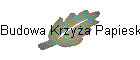 Budowa Krzya Papieskiego