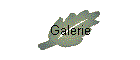 Galerie