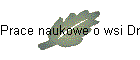 Prace magisterskie o wsi