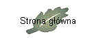 Strona głwna