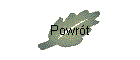 Powrót