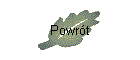 Powrt