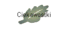 Ciekawostki