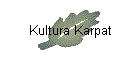 Kultura Karpat