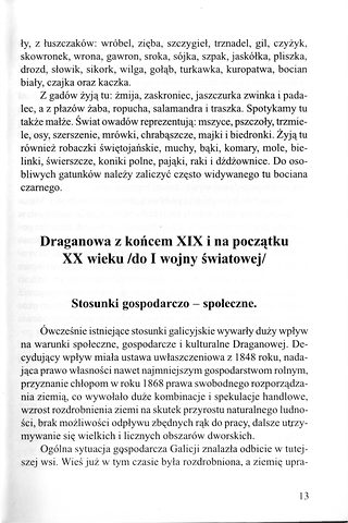 Dzieje Draganowej — Strona 14 z 114
