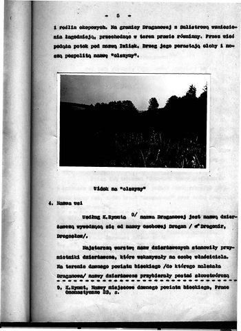 Strona 10 pracy „Gwara Draganowej”