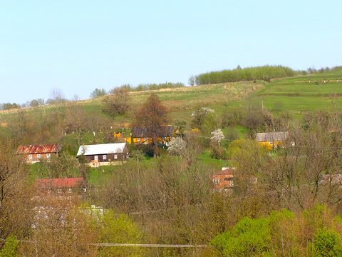 Draganowa — fotografia 5