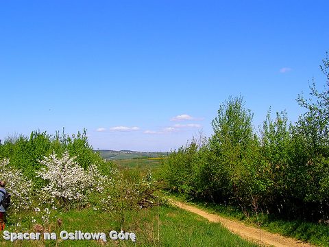 Draganowa — fotografia 36