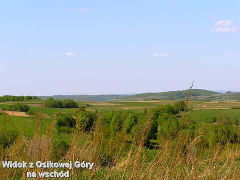 Draganowa — fotografia 38